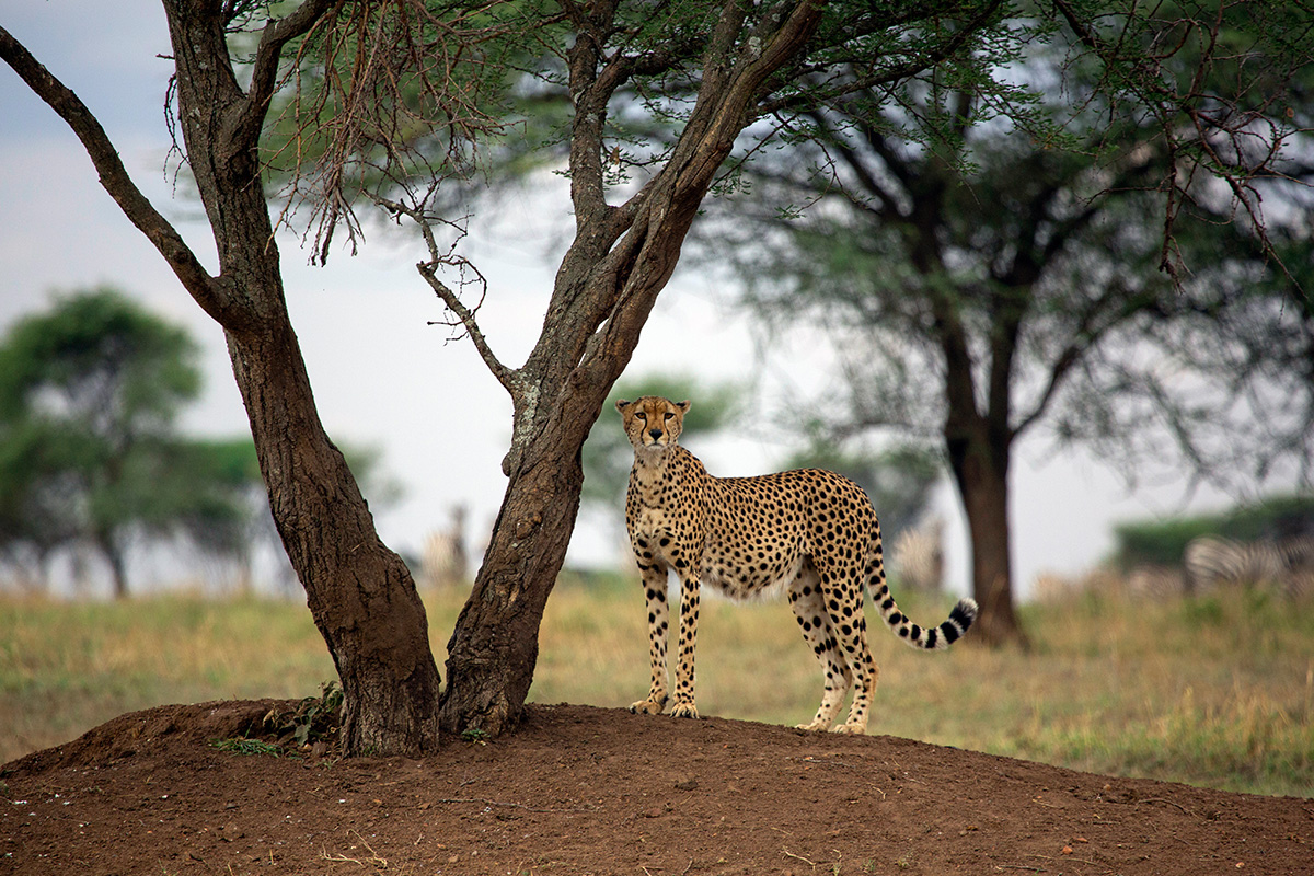 Hoedspruit-Volunteer-Program